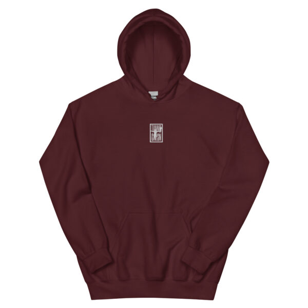 "TANNR CRLSN" - box logo embroidered hoodie - Image 2
