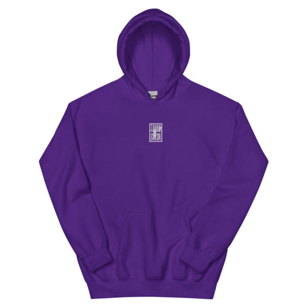 "TANNR CRLSN" - box logo embroidered hoodie - Image 3
